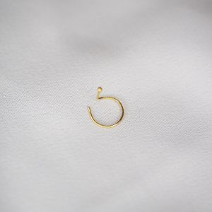 Tiny Gold Nose Pin